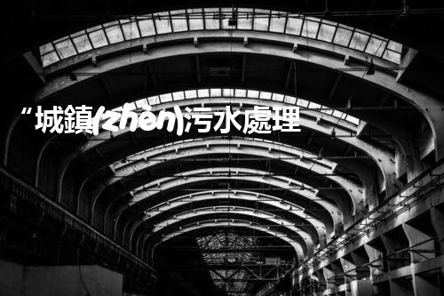 “城鎮(zhèn)污水處理費助力綠色環(huán)保，共建美好家園新篇章”